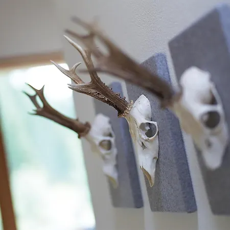 Landhaus Zum Steinbock Отель *